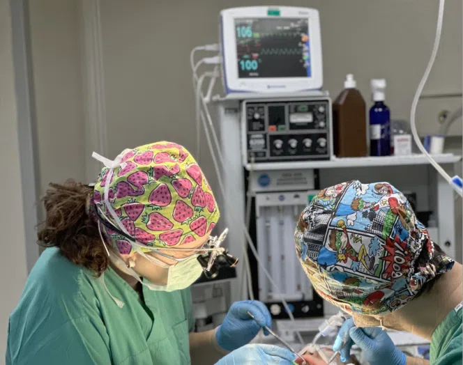 Ameliyathane ortamında genel anestezi altında çocuk diş tedavisi